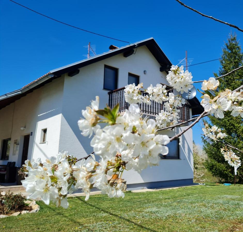 Apartment Charlie Selište Drežničko Exterior foto